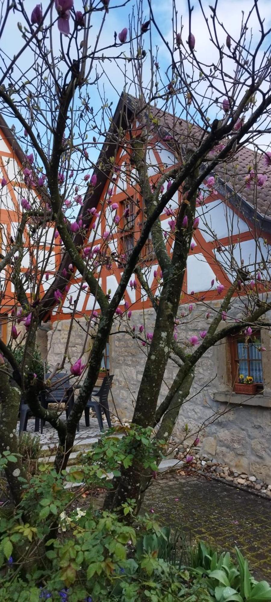 Villa Idyllisches Fachwerkhäusle am Tor zum Schwarzwald Horb am Neckar Exterior foto